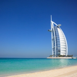 Descripción de la imagen 2