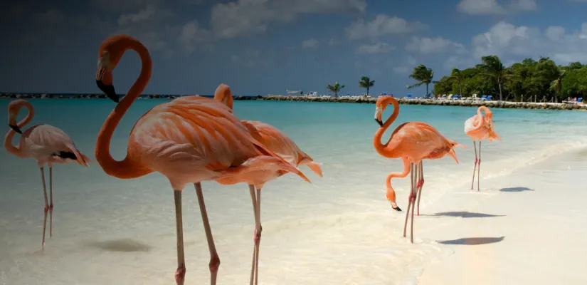 Descripción de la imagen 1