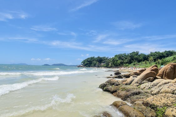 Descripción de la imagen 2