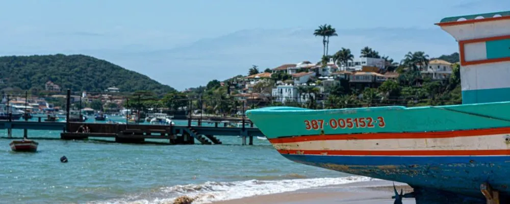 Descripción de la imagen 3